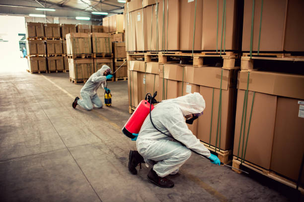 Best Affordable Pest Control Services  in Beech Island, SC