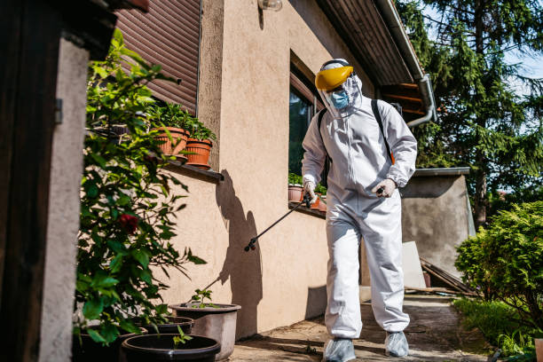 Best Wasp Removal Services  in Beech Island, SC