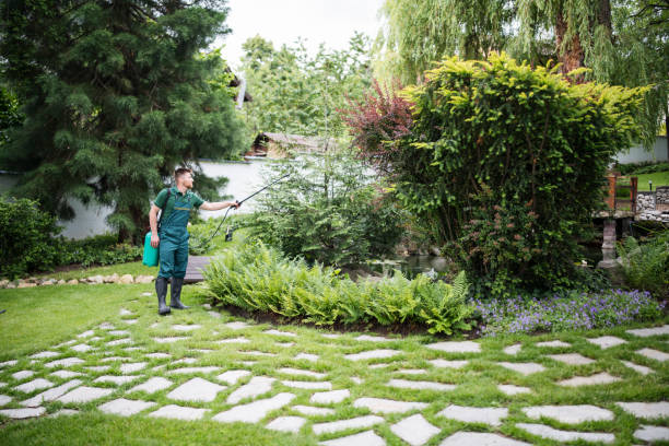 Professional Pest Control in Beech Island, SC