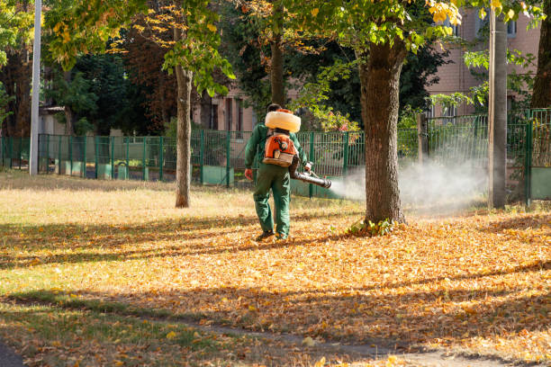 Best Local Pest Control Services  in Beech Island, SC
