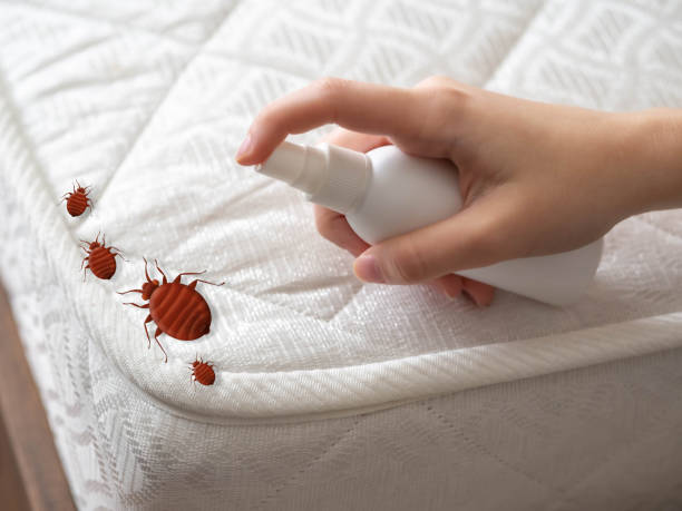 Pest Control for Restaurants in Beech Island, SC